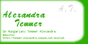 alexandra temmer business card